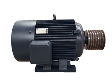 Motor principal de alta eficiencia y ahorro de energía de marca nacional de primera línea